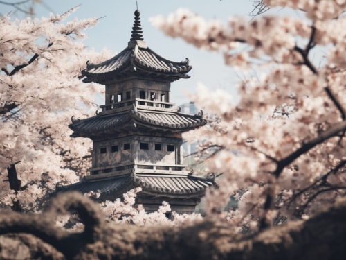 a brick tower stands behind cherry blossoms 001